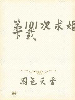 第101次求婚下载