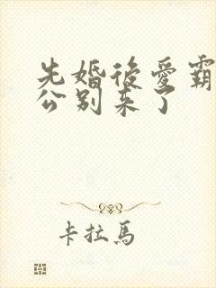 先婚后爱霸道老公别来了