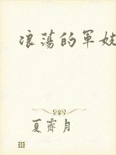 浪荡的军妓h