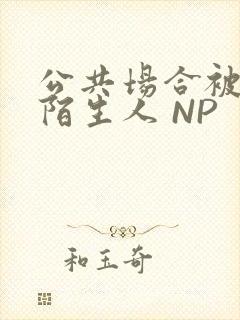 公共场合被各种陌生人 NP