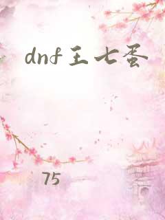dnf王七蛋