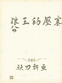 狼王的压寨小相公