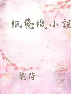 纸飞机小说