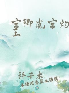 宫卿岚宫灼摄政王