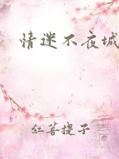 情迷不夜城