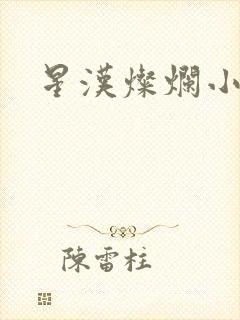 星汉灿烂小说