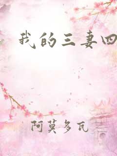 我的三妻四妾
