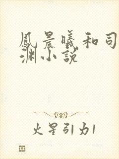 凤晨曦和司鸿颜渊小说