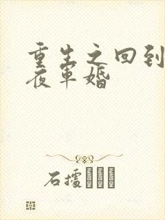 重生之回到新婚夜军婚