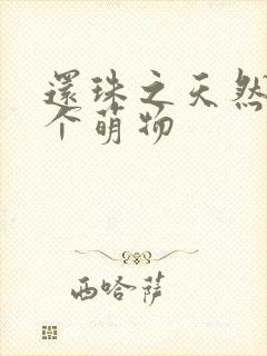 还珠之天然呆是个萌物