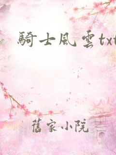 骑士风云txt
