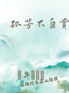 孤芳不自赏小说