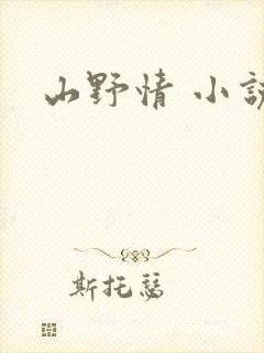 山野情 小说