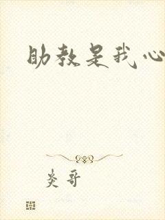 助教是我心尖宠