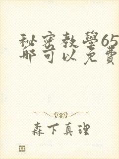 秘密教学65在哪可以免费阅读