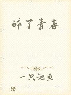 醉了青春