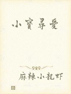 小宝寻爱