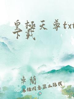 皇极天尊txt下载
