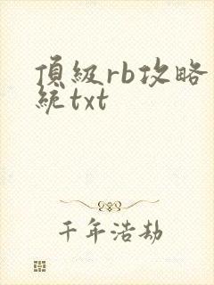 顶级rb攻略系统txt