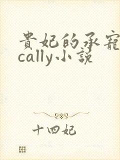 贵妃的承宠日常cally小说