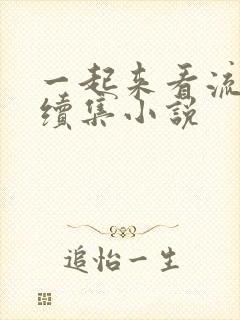 一起来看流星雨续集小说