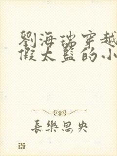 刘海瑞穿越后宫假太监的小说