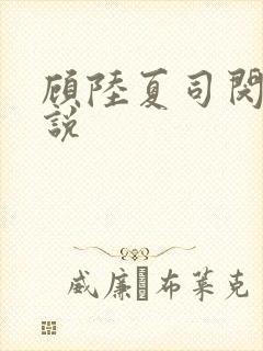 顾陆夏司闵郁小说