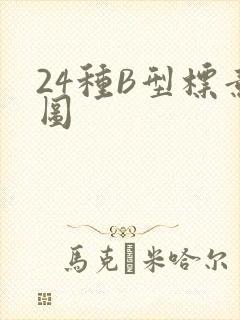 24种B型标意图
