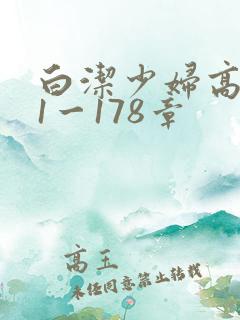 白洁少妇高义第1一178章