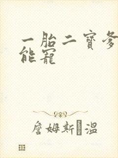 一胎二宝爹地超能宠