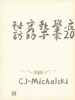 秘密教学夜晚到访的子豪20话