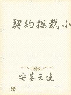 契约总裁小萌宝