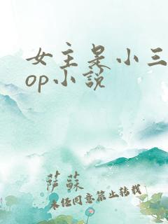 女主是小三的pop小说