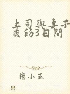 上司与妻子干到爽的3日间