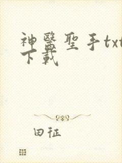 神医圣手txt下载