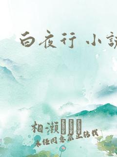 白夜行 小说