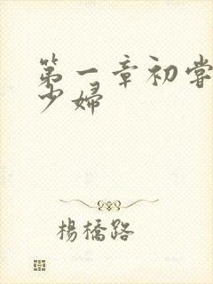 第一章初尝云雨少妇