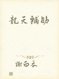 龙天辅助
