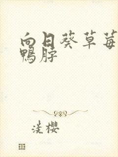 向日葵草莓丝瓜鸭脖