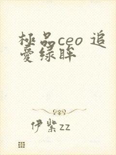 极品ceo 追爱绿眸