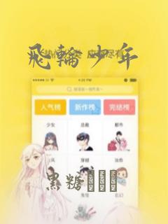 飞轮少年：结局+番外