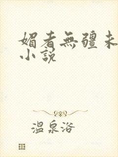 媚者无疆未删减小说