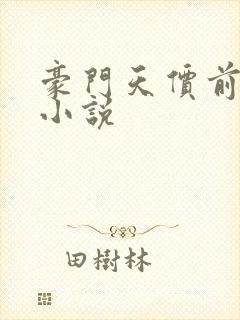 豪门天价前妻 小说