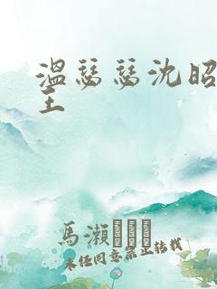 温瑟瑟沈昭摄政王