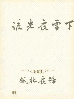 流光夜雪下载