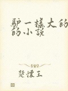 驴一样大的凶器的小说