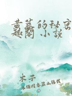 黄蓉的秘密 笔趣阁 小说