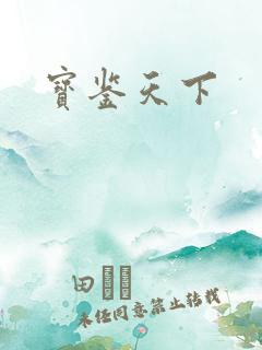 宝鉴天下