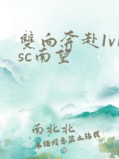 双向奔赴1v1sc南望