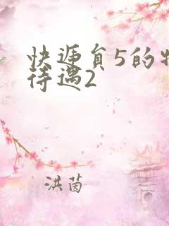 快递员5的特殊待遇2